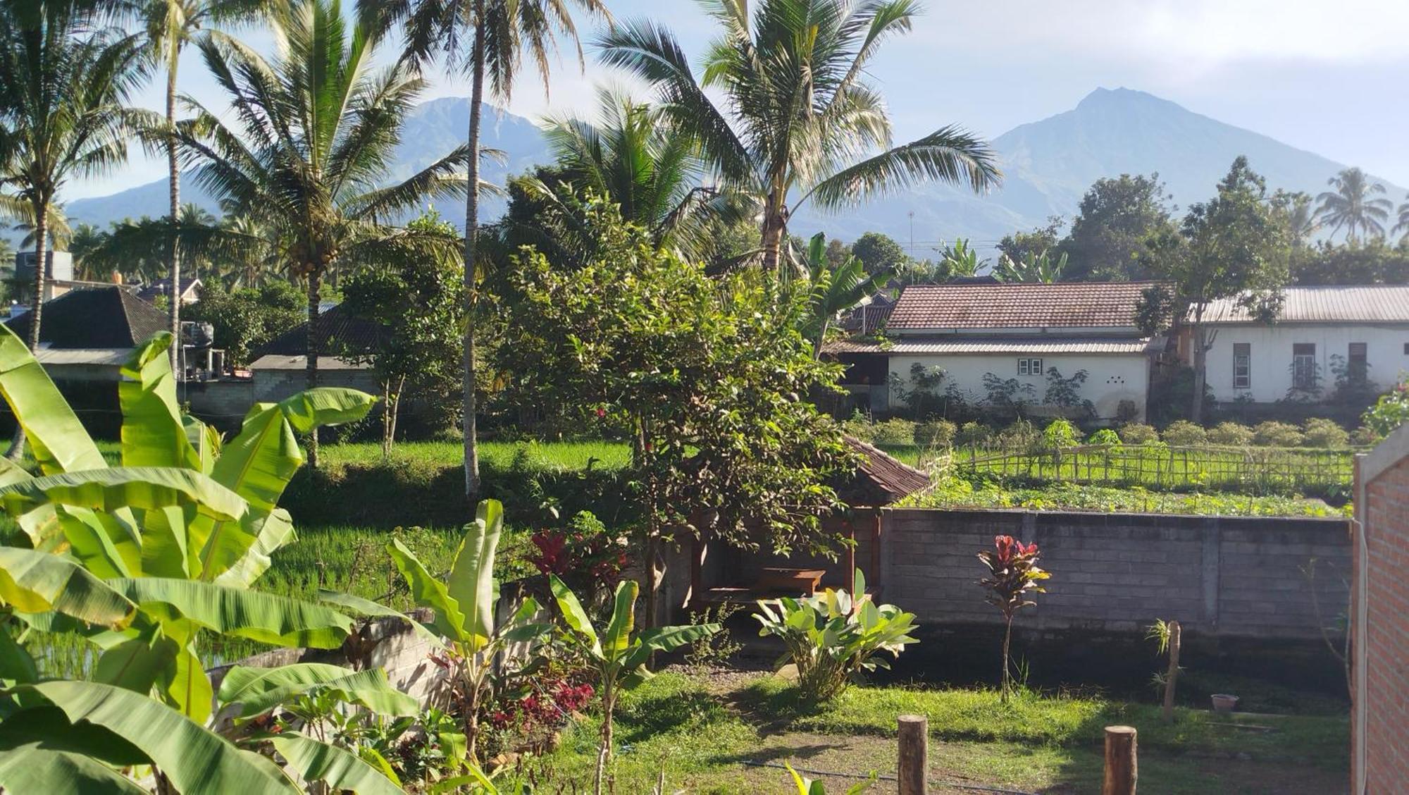 Arista Homestay Tetebatu Bagian luar foto