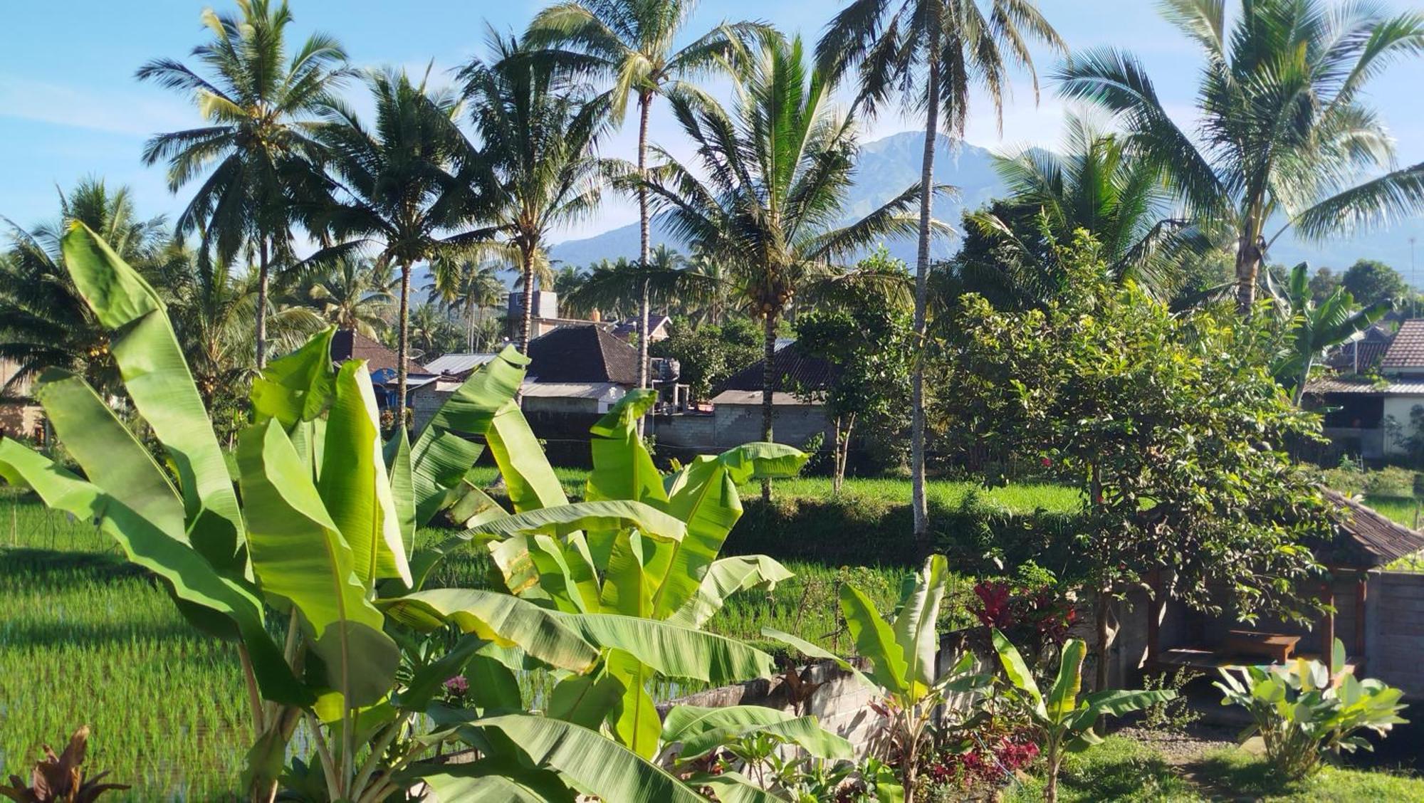 Arista Homestay Tetebatu Bagian luar foto