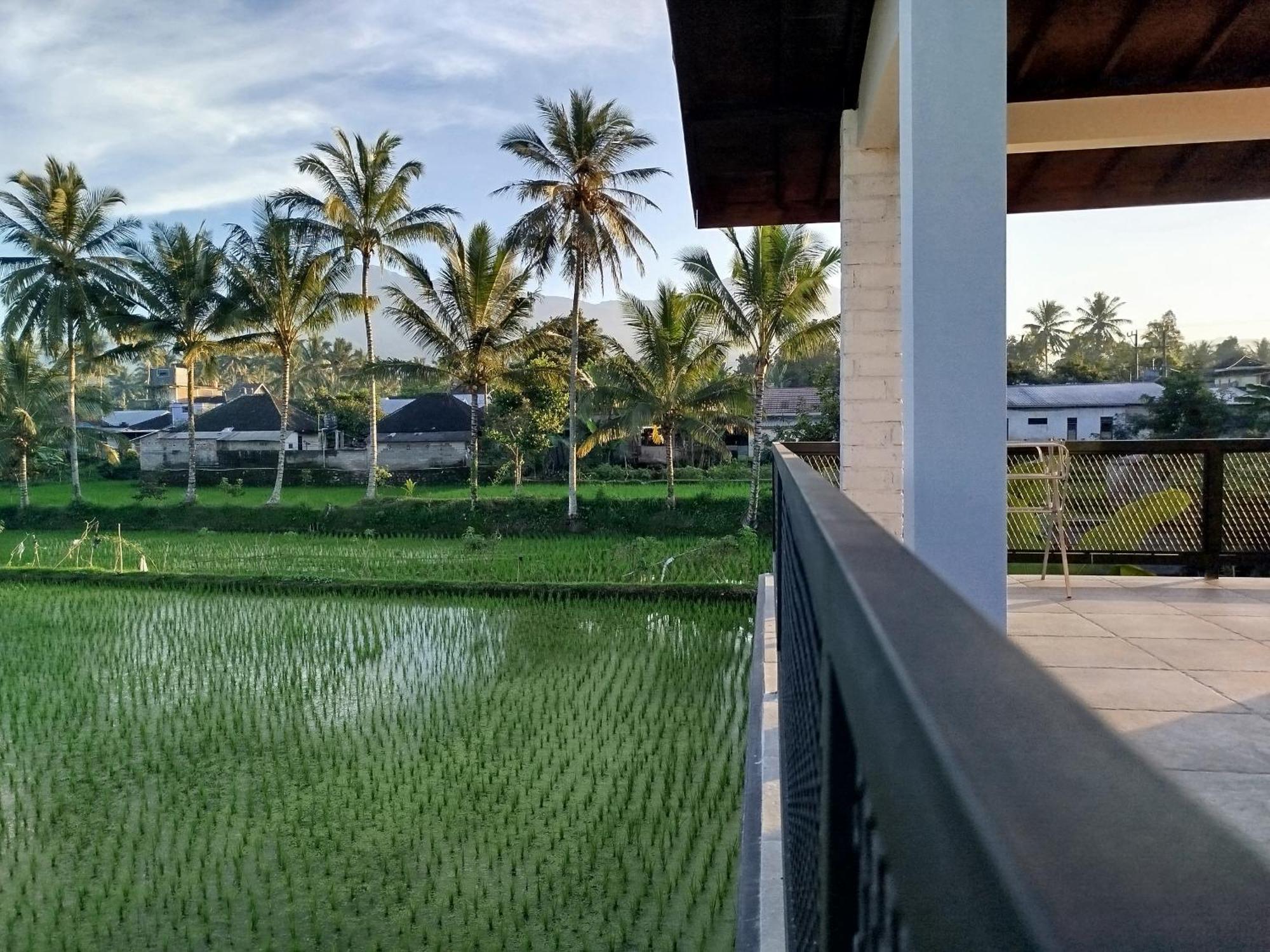 Arista Homestay Tetebatu Bagian luar foto
